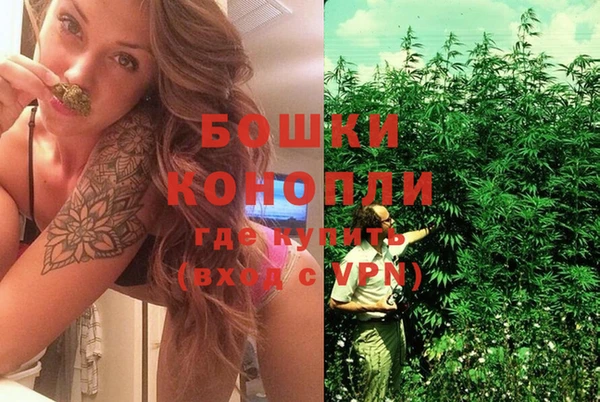 бошки Кодинск