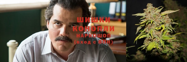 трава Козельск