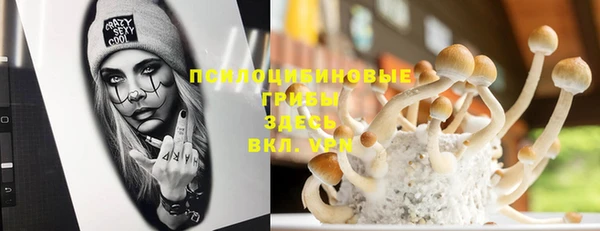 трава Козельск