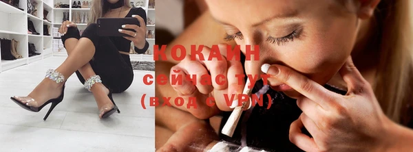 дмт Козловка