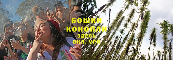 дмт Козловка