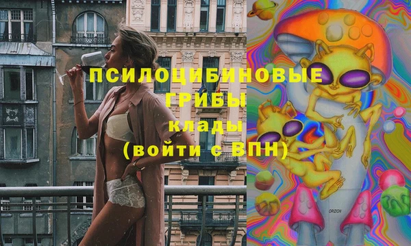 бошки Кодинск