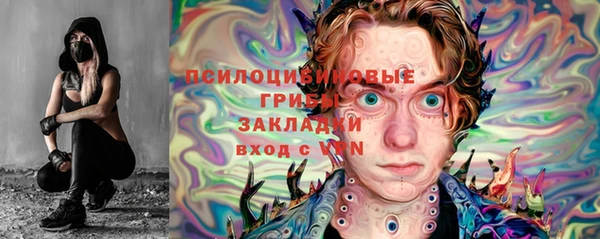 дмт Козловка
